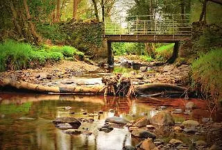 Bed & Breakfast Woodlands Guest Accomadation 5*